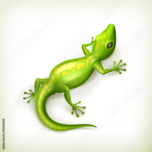 Reptile