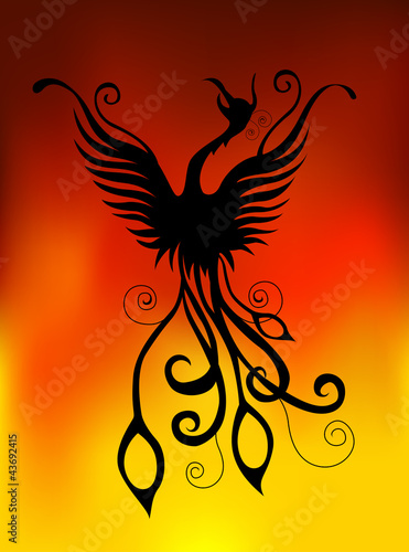silhouette of phoenix