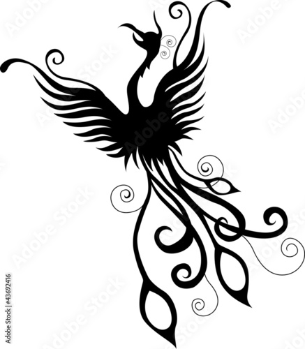 silhouette of phoenix