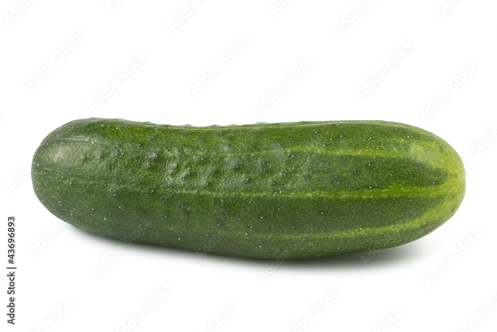 Cucumber isolated on white background Cucumber isolated on white background