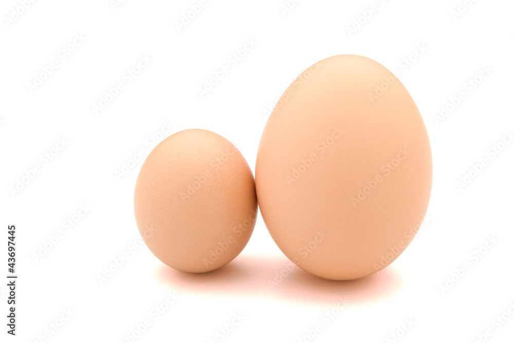 big and small eggs with clipping path big and small eggs with clipping path