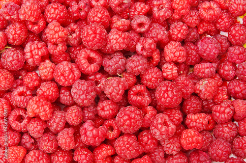 Red fresh raspberry background