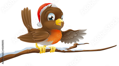 Christmas Robin on Snowy Br...