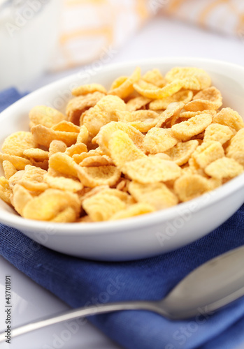 A bowl of cornflakes