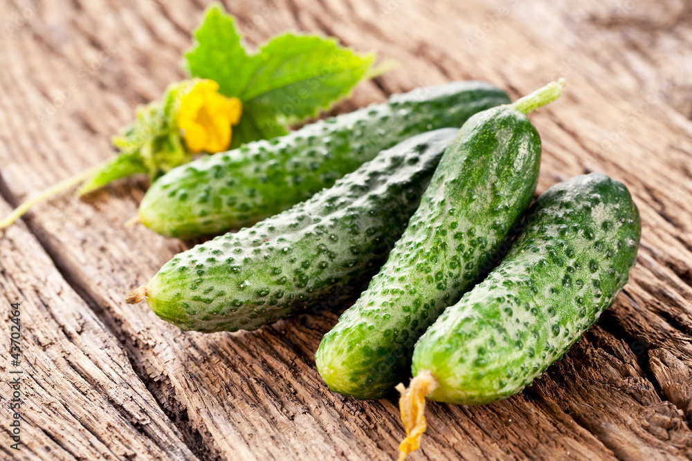 Cucumbers with leaves Cucumbers with leaves