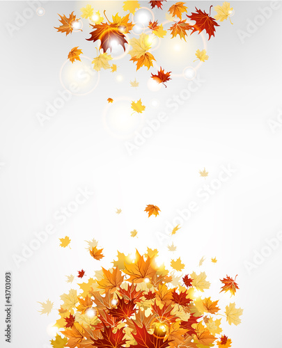 Autumn leaves background
