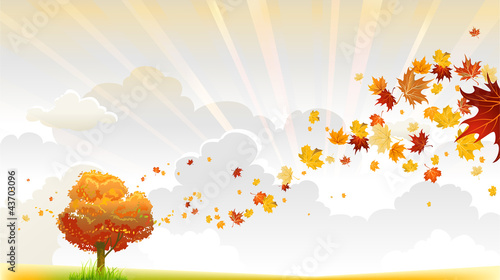 Autumn tree