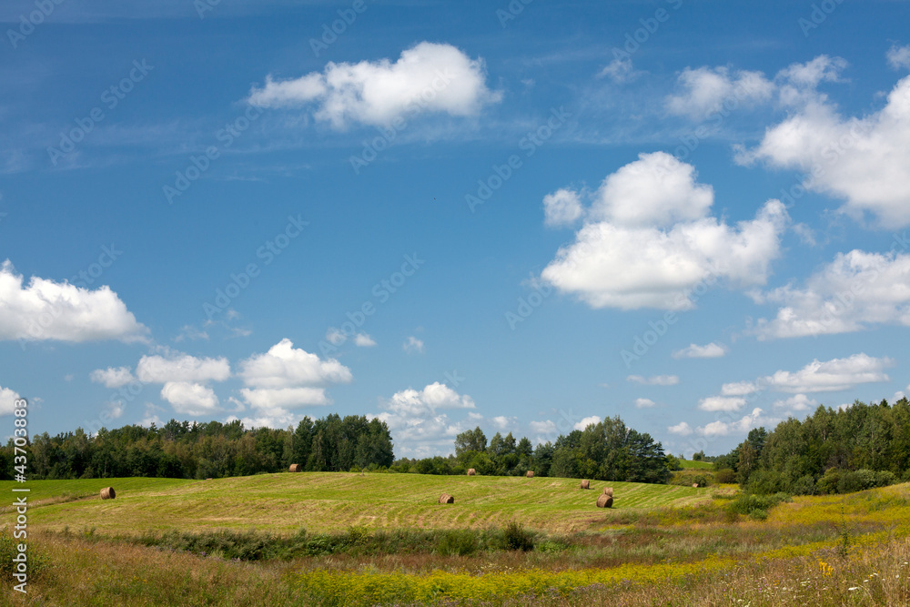 landscape with round bales and beautiful sky