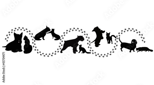 animals cats and dogs traces of the vector