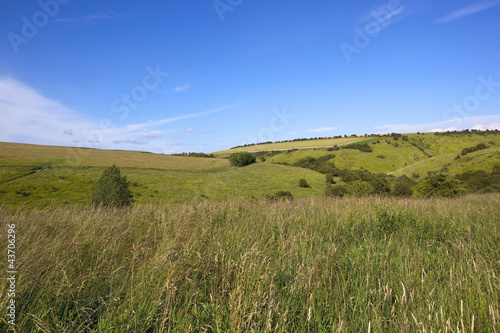 grassy summer hillside