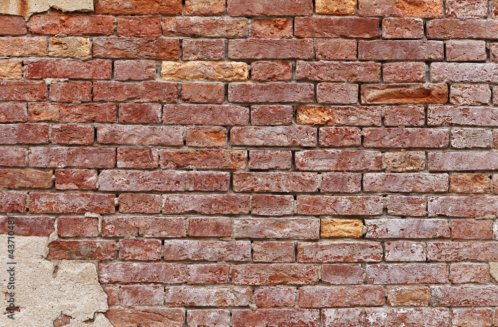 Fototapeta premium Texture of Venetian wall