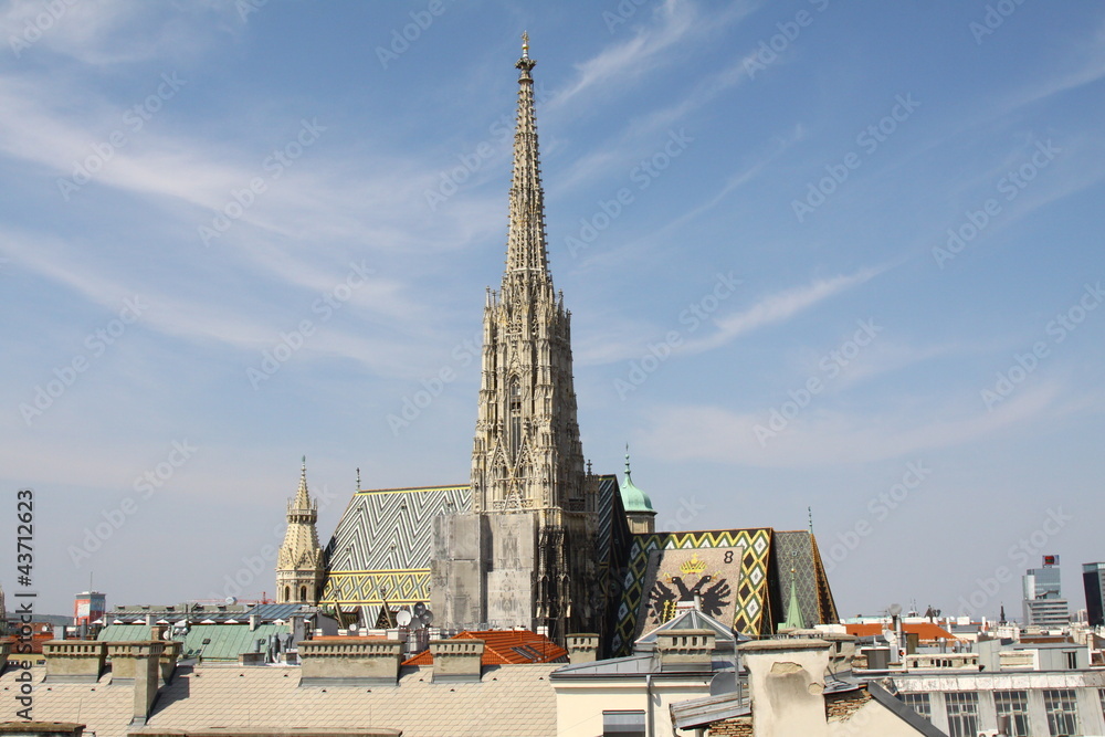 Obraz premium dom der stadt wien