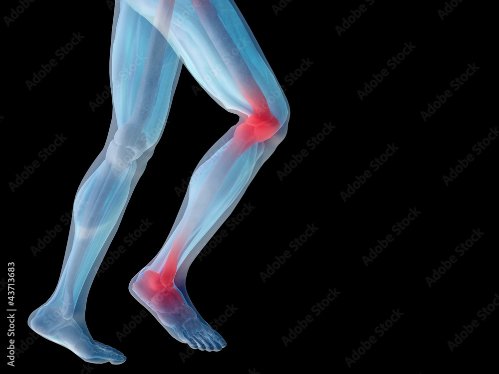 High resolution 3D human for anatomy, medicine and health High resolution 3D human for anatomy, medicine and health