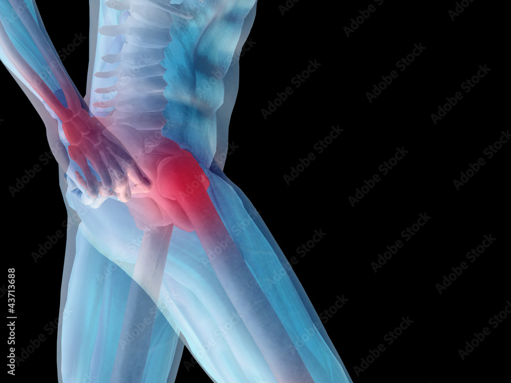 Fototapeta premium High resolution 3D human for anatomy, medicine and health