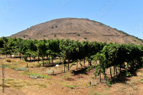 Travel Photos of Israel - Golan Heights photo