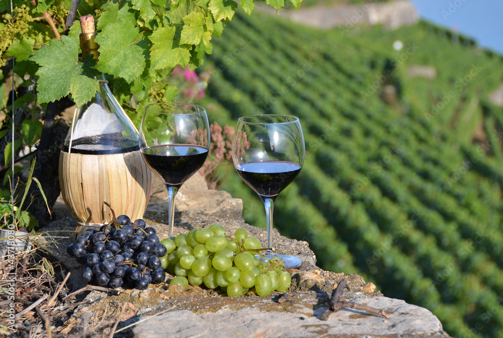 Red wine ad grapes. Lavaux, Switzerland