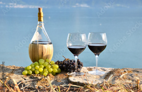 Fototapeta Naklejka Na Ścianę i Meble -  Red wine ad grapes. Lavaux, Switzerland