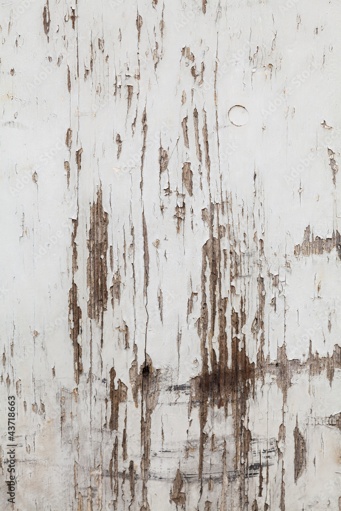 Obraz premium Altes Holz mit weisser Farbe