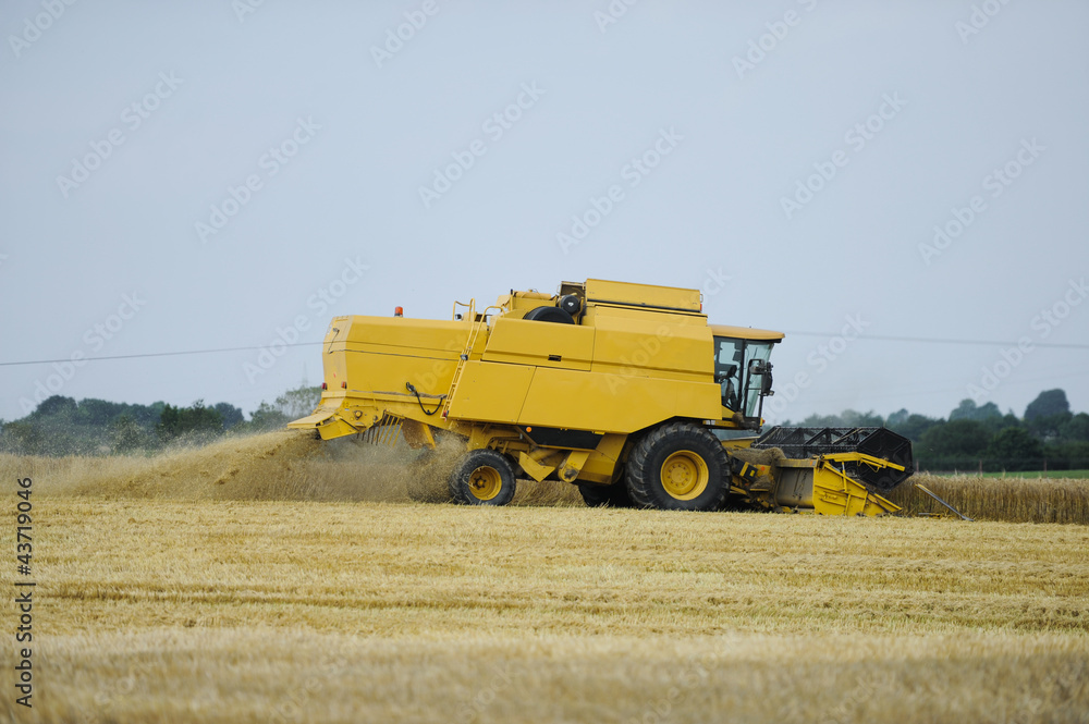 Obraz premium Mähdrescher