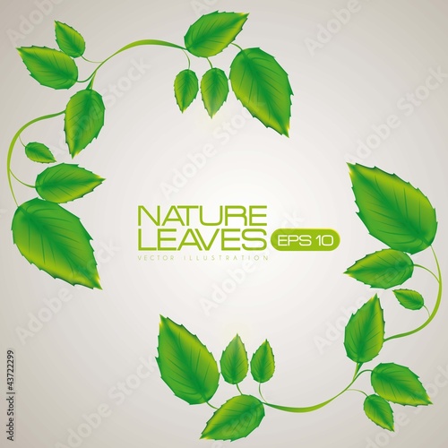 Illustration of green leaves