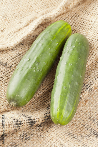Fresh Organic Cucumber