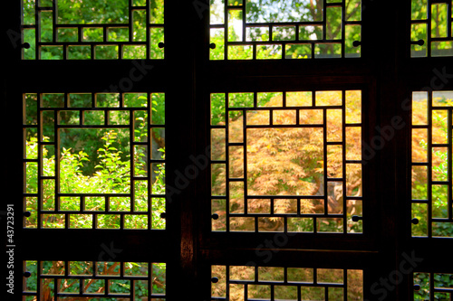 Old Chinese window in Shanghai facing a lush courtyard garden
