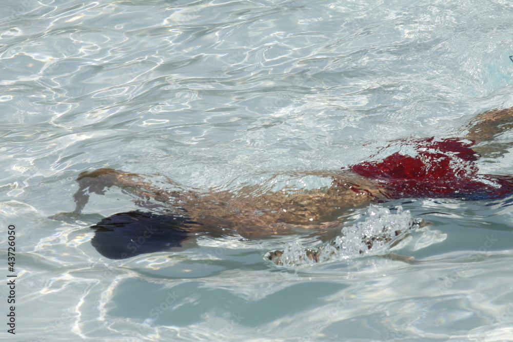 Obraz premium ragazzo immerso in piscina