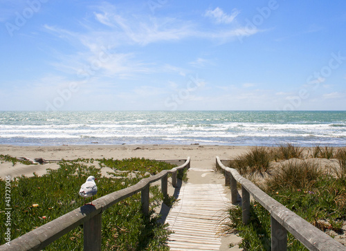 Path to the beach
