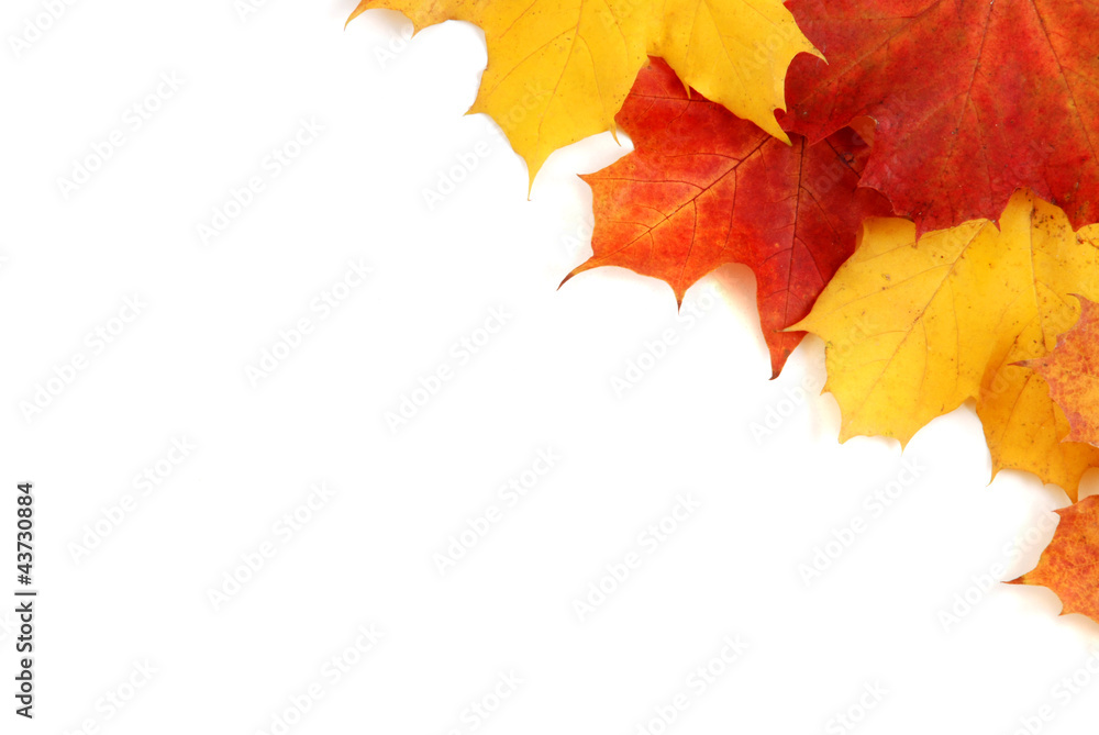 herbst herbst