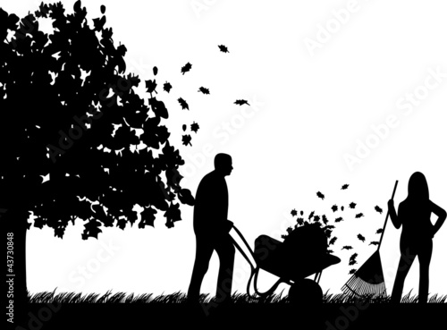 Couple raking leaves in autumn or fall in garden or yard