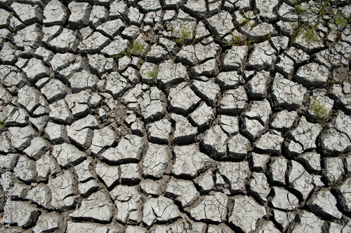 Wetland damaged by drought