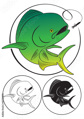 Dolphin fish
