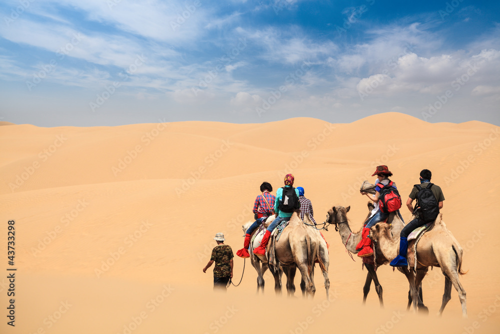 camel caravan in desert