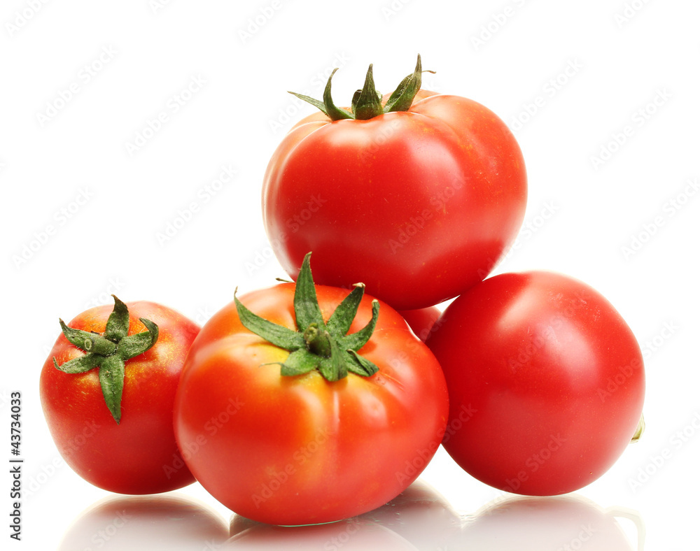 tomatoes isolated on white tomatoes isolated on white