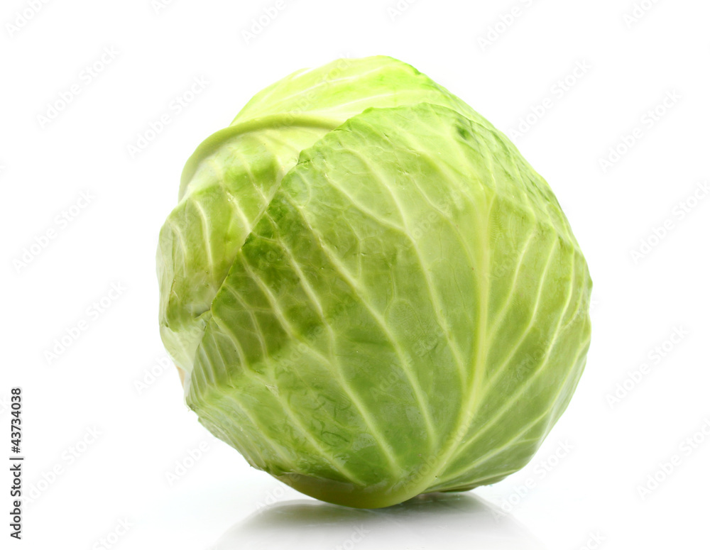 whole green cabbage isolated on white whole green cabbage isolated on white