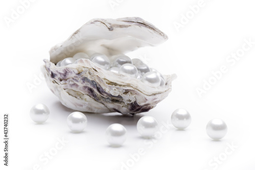 Perlen in einer Auster