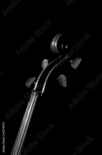 A black and white violin detail against a black back ground.