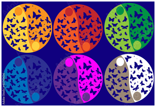 Yin Yang color butterflies
