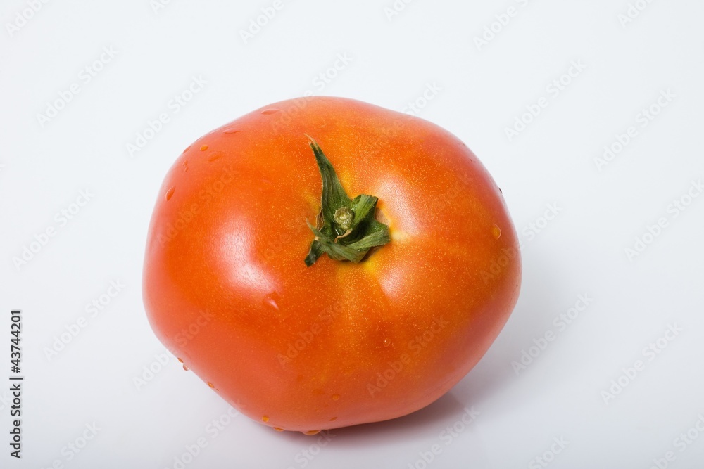 tomato tomato