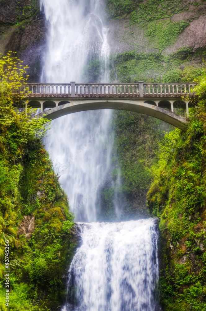 Multnomah falls and bridge in the morning sun light