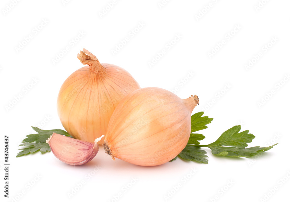 Fototapeta premium Onion and garlic clove