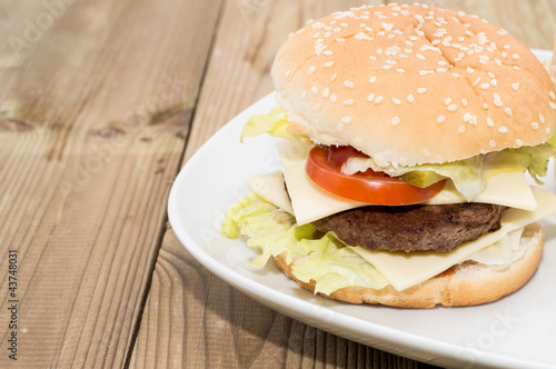 Double Cheeseburger on a plate