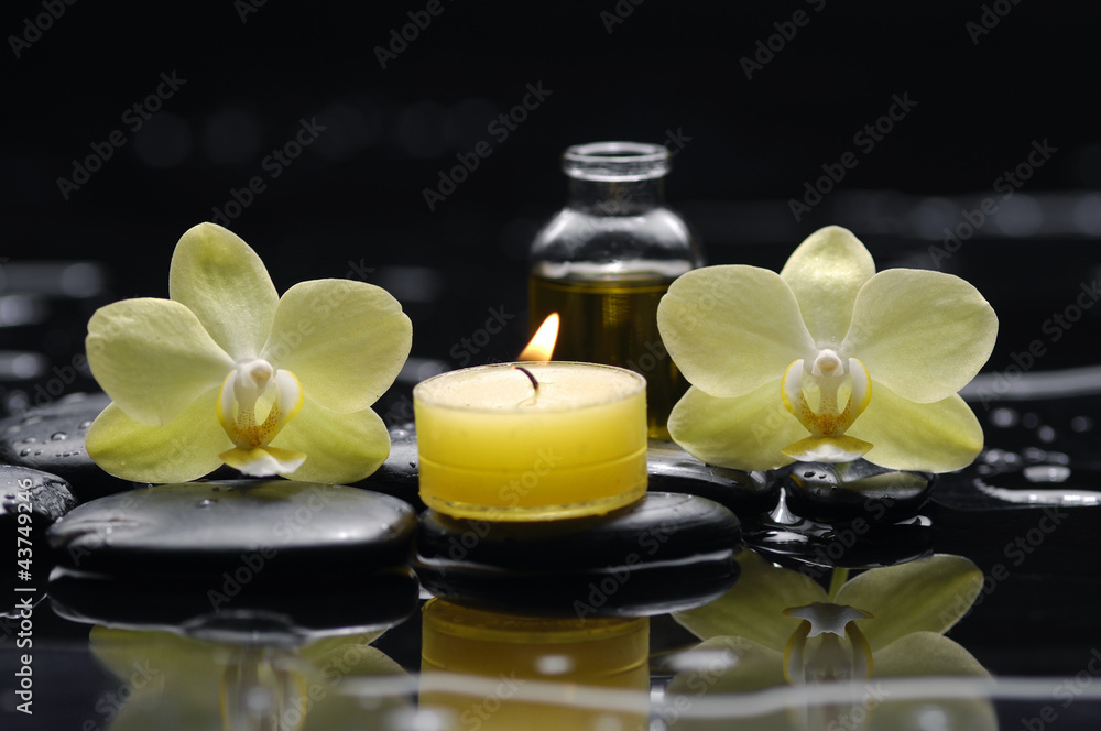 burning candle and two orchid with massage oil on zen stones burning candle and two orchid with massage oil on zen stones