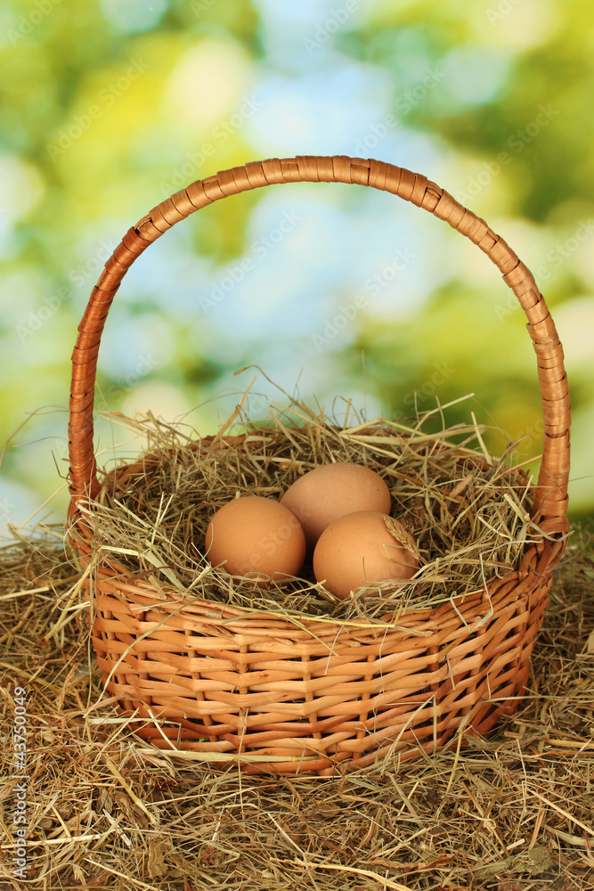 brown eggs in a wicker basket on hay on green background brown eggs in a wicker basket on hay on green background