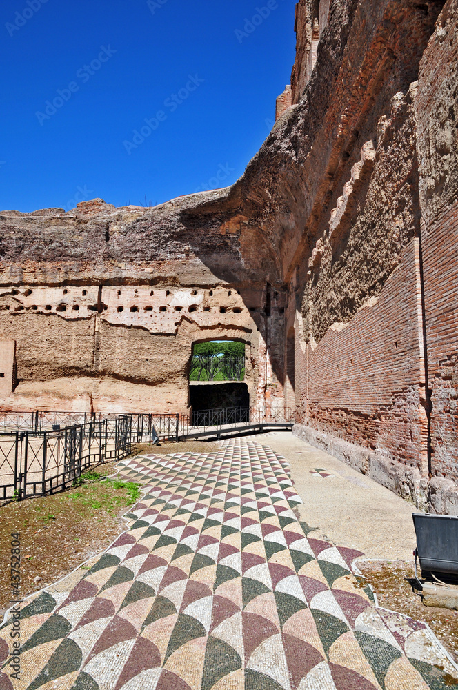 Obraz premium Le terme di Caracalla, Roma