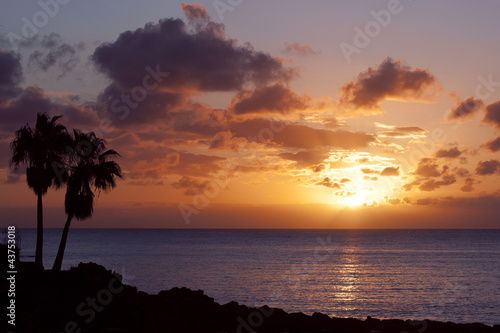 orange sunset on tropical island with palm
