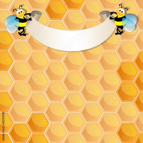 Bees in the hive