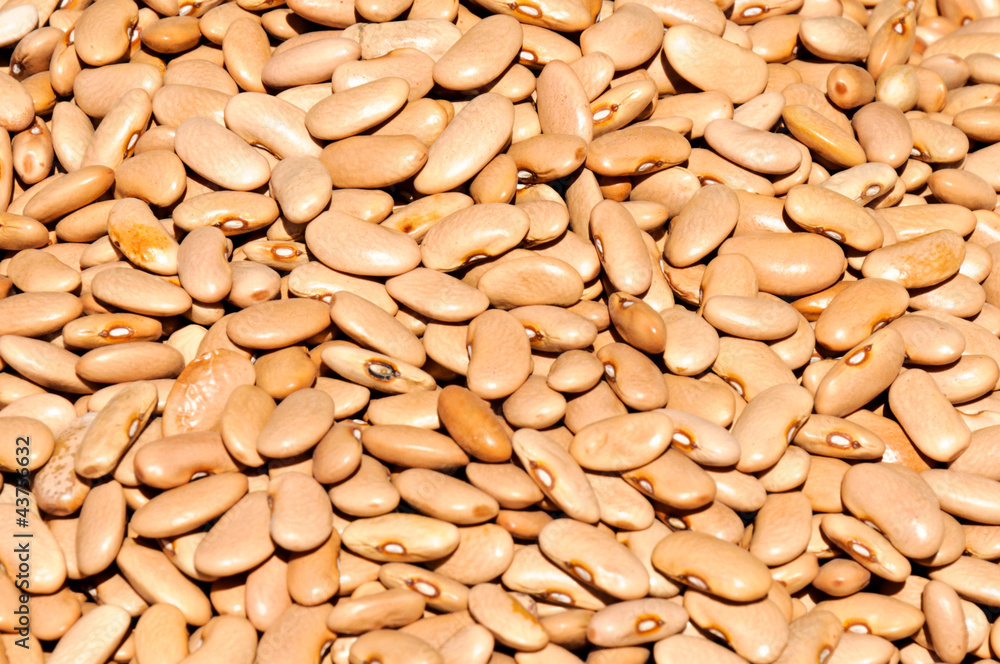 Cream beans Cream beans