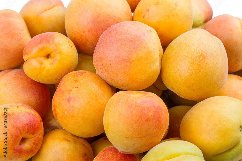 Background of the apricots Background of the apricots