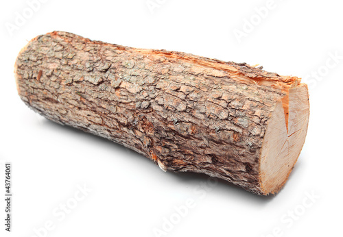Cut log fire wood from Common Oak tree.